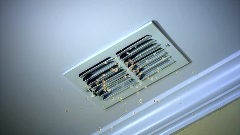Best HVAC Duct Inspection Services  in South Sarasota, FL