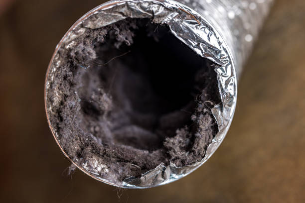 Best Air Duct Cleaning Company Near Me  in South Sarasota, FL