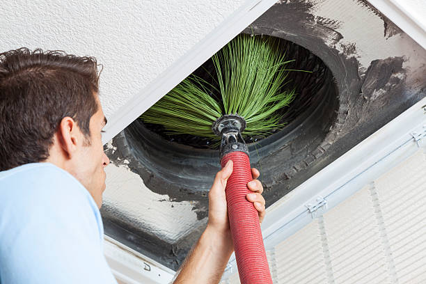Best Duct Cleaning Specialists  in South Sarasota, FL